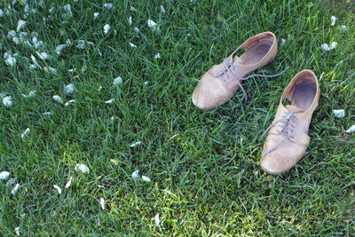 High angle view of shoes on field