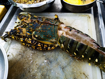 High angle view of fish for sale