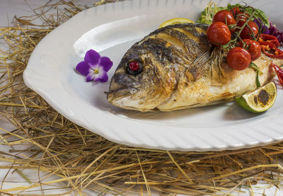 Dorado grilled with baked cherry tomatoes on table