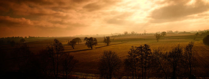 Scenic view of field against sky during sunset