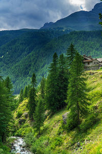 Scenic view of landscape against sky