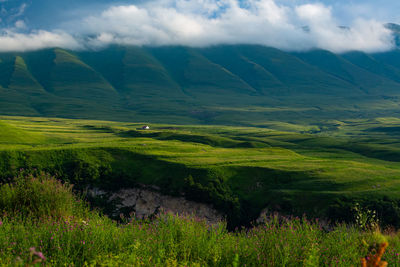 Scenic view of landscape against sky