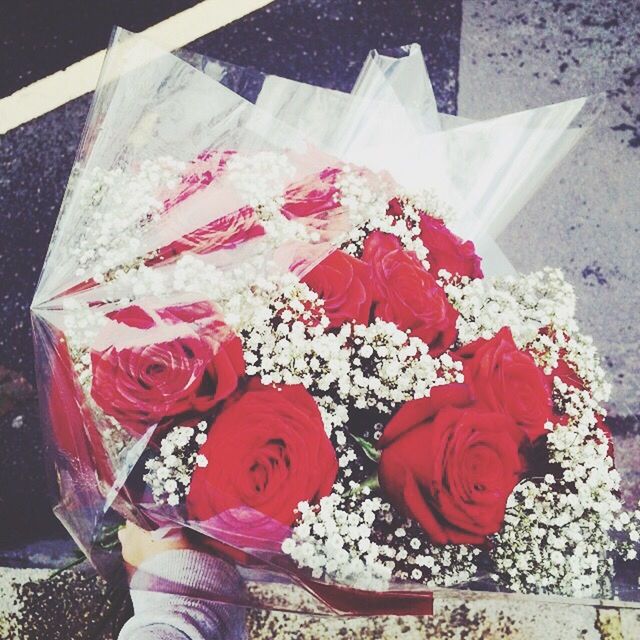 flower, indoors, red, high angle view, petal, rose - flower, freshness, pink color, fragility, flower head, close-up, bouquet, day, holding, wall - building feature, rose, person