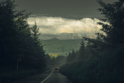 Road amidst trees against sky