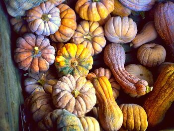 High angle view of pumpkins at market