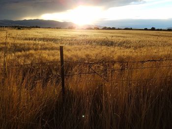 Scenic view of field against sky during sunset