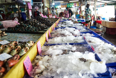 Frozen seafood by ice at seafood market