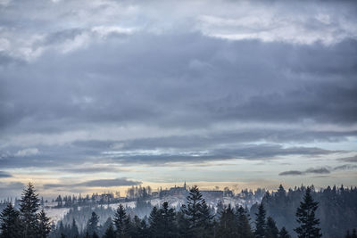 Panoramic view of trees on landscape against sky