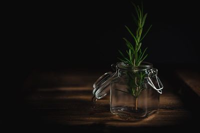Close-up of rosemary in glass jar on table