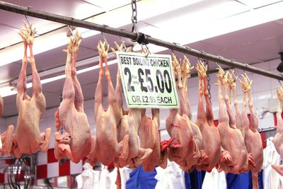 Low angle view of price tag with dead chickens hanging in shop