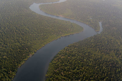 Aerial view of river amidst forest