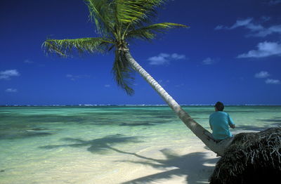Rear view of man sitting on tilted coconut palm tree on shore at beach against sky