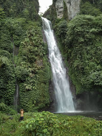 Scenic view of waterfall in forest