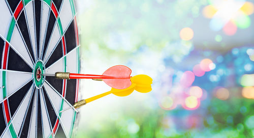 Close-up of darts on sports target