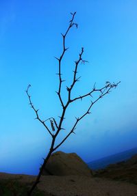 Scenic view of landscape against clear blue sky