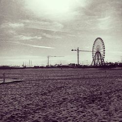 Cranes at beach against sky