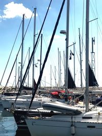 Sailboats moored in marina