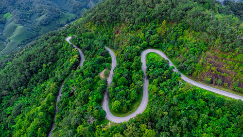 High angle view of road amidst trees