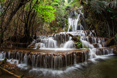 Waterfall in forest