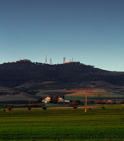 Scenic view of field against clear sky