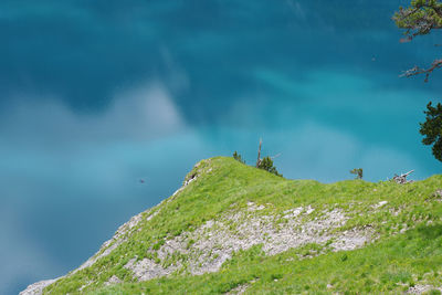 View of lizard on rock against sky