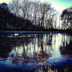 Reflection of trees in lake against sky