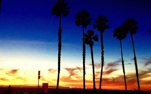 Low angle view of silhouette trees against sky during sunset