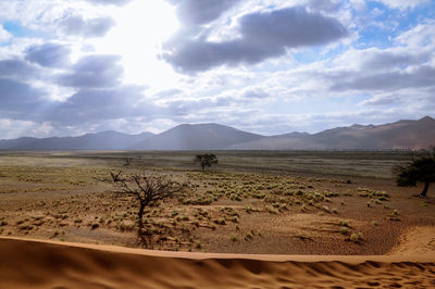 Scenic view of desert against sky