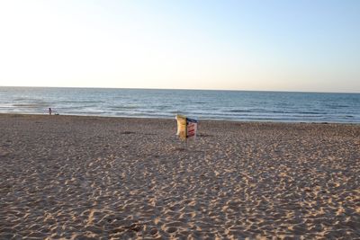 Rear view of man standing on beach against clear sky