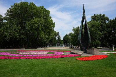 View of trees in park