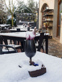 Close-up of ice cream on table in yard during winter