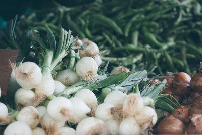 Close-up of vegetables