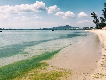 Scenic view of beach against sky