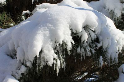 Close-up of snow