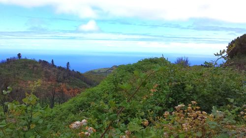 Scenic view of landscape against sky