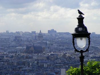 Street light against buildings in city