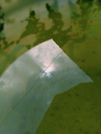 High angle view of paper plant against blurred background