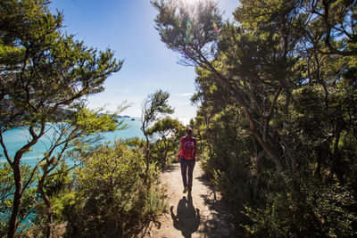 Rear view of woman with backpack walking by plants in forest