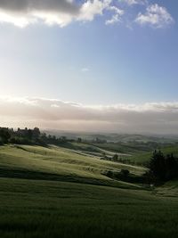 Scenic view of field against sky