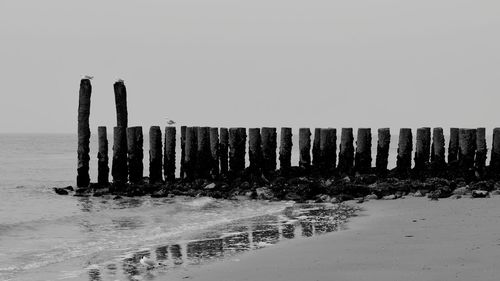 Wooden posts on beach against clear sky