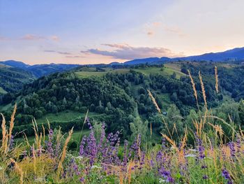 Scenic view of land and mountains against sky