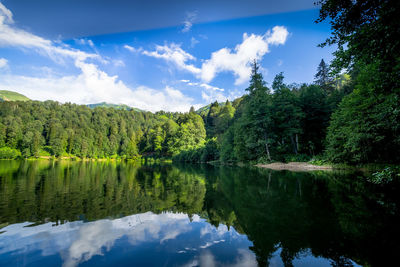 Scenic view of lake by trees against sky