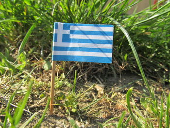 Close-up of flag against blue sky