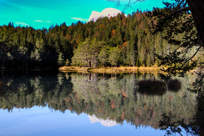 Scenic view of lake by trees in forest against sky