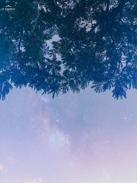 Low angle view of tree against sky