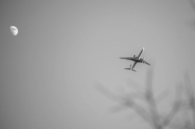 Low angle view of airplane flying in sky