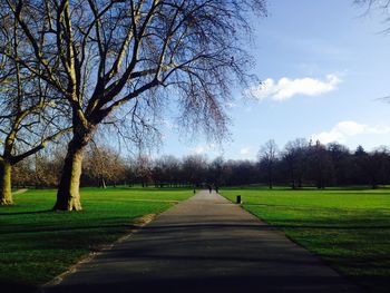 Road amidst bare trees against sky