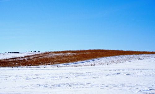 Scenic view of snow against clear blue sky