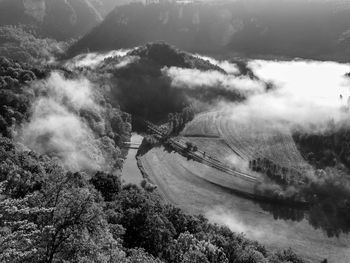 High angle view of river amidst trees