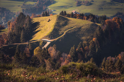 Panoramic view of landscape